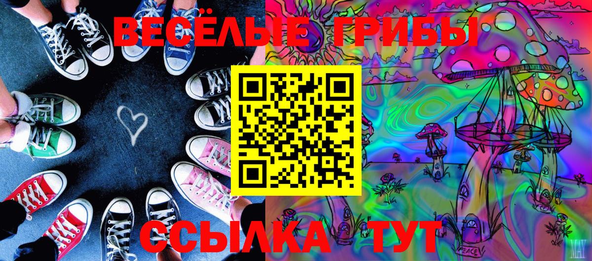 Электросталь  Псилоцибиновые грибы ЛСД  Вход с VPN 