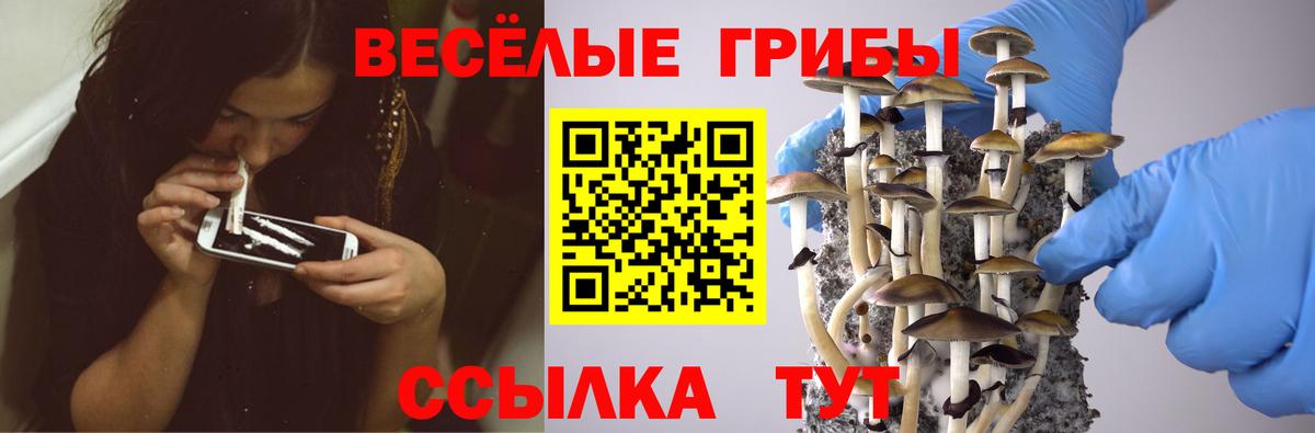 Псилоцибиновые грибы мухоморы Электросталь